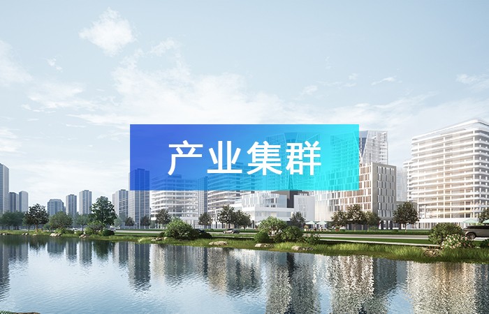 善用產業鏈招商，推動產業集聚，打造產業集群發展！