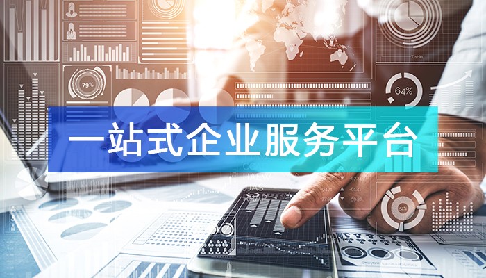 “一站式企業(yè)服務平臺”全景解析