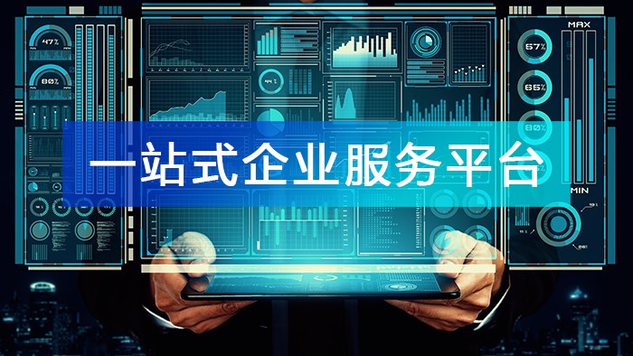“一站式企業(yè)服務平臺” 的數(shù)據(jù)基礎和應用場景!